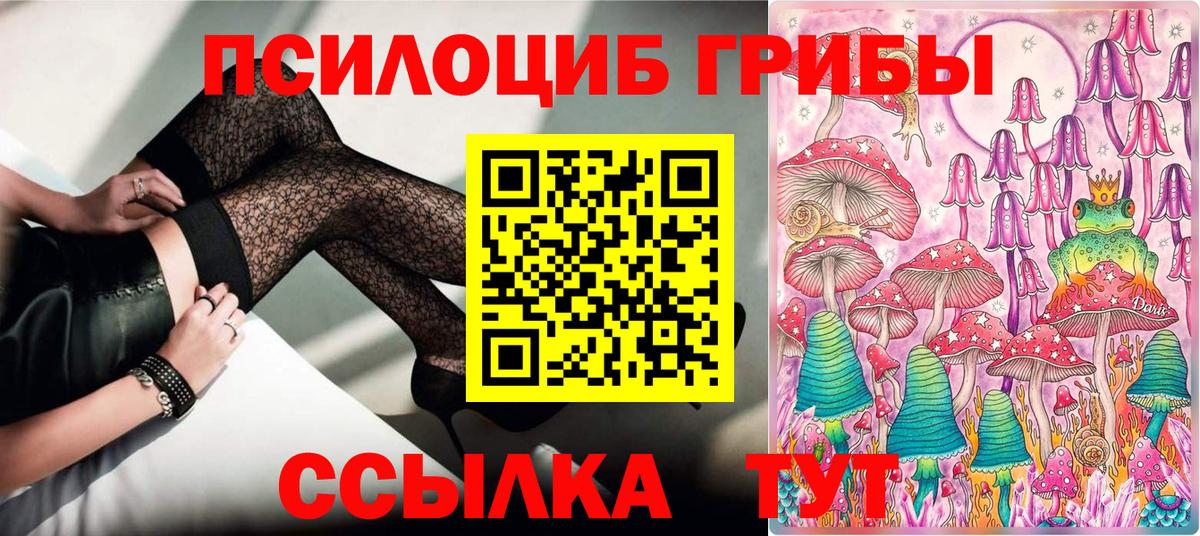 где купить наркоту  Галлюциногенные грибы GOLDEN TEACHER  Вход с VPN  Благодарный 